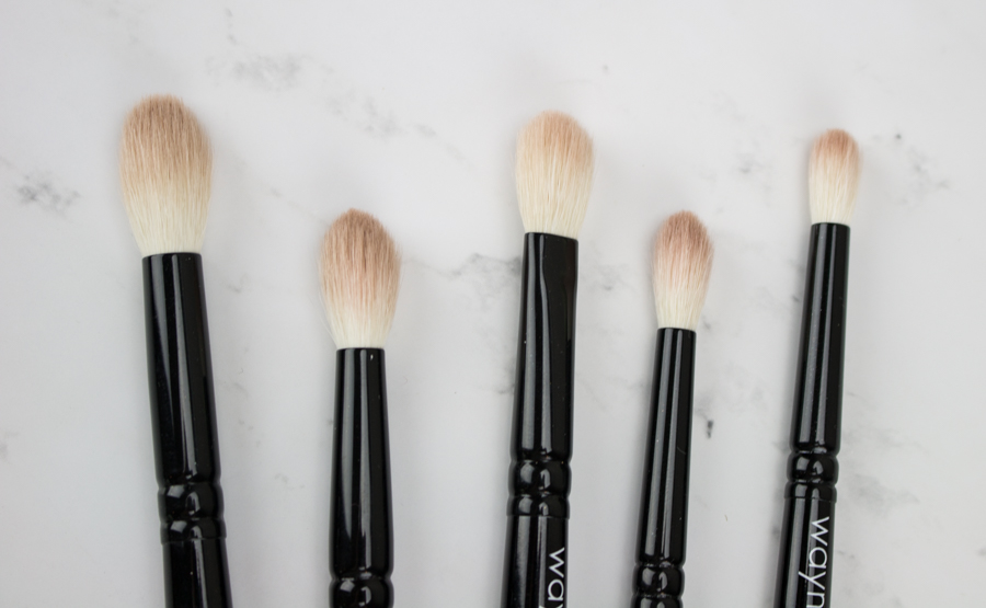 Wayne Goss The Eye Set Brushes